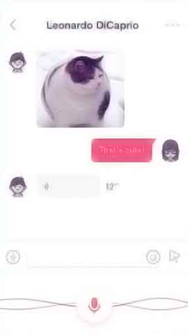 免费信息轰炸机